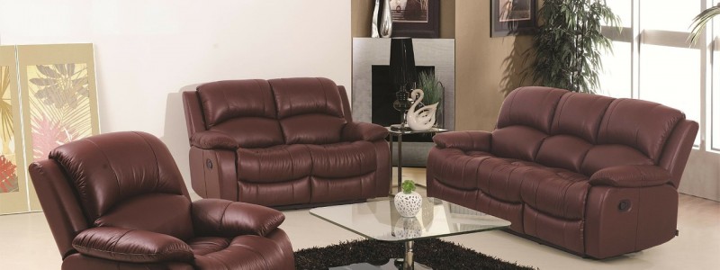 protect-leather-couch